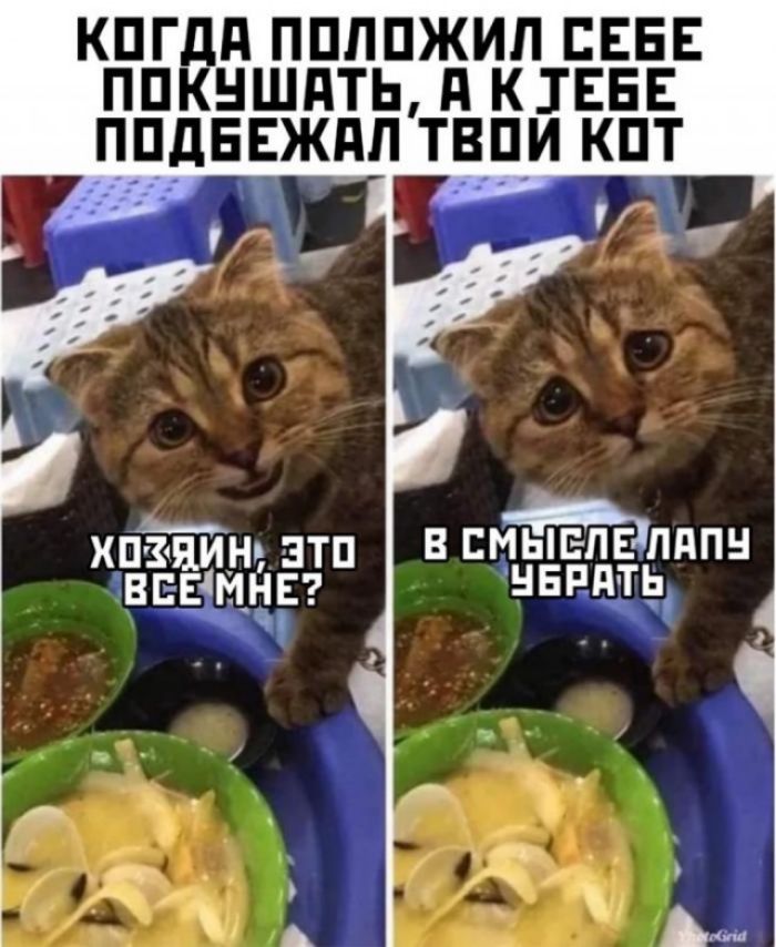 ЫЕПЕШЁШН НЕРПТЬ д птяинп зтп ВЕЕ мннг
