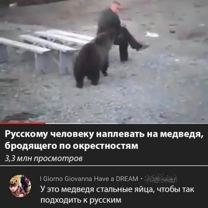 Русскому человеку наплевать на медведя бродящего по окрестностям 33 млн просмотров Оіогпо Зіоуаппа Нахе а ВКЕАМ У это медведя стальные я подходить к русским чтобы так