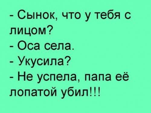 Сынок что у тебя с лицом Оса села Укусила Не успела папа её лопатой убил