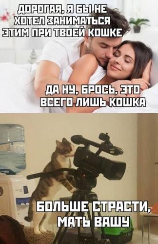 ГЦ Е НЕ ФНИМНПЬЕП Ши Шп ыкпшкв
