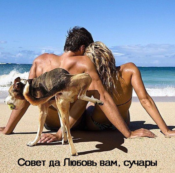 _1 Совет да Любовь вамсучары