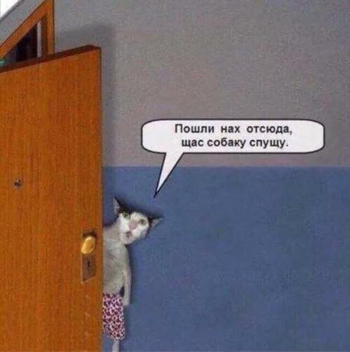 Пошли мх петля шп собаку спущу