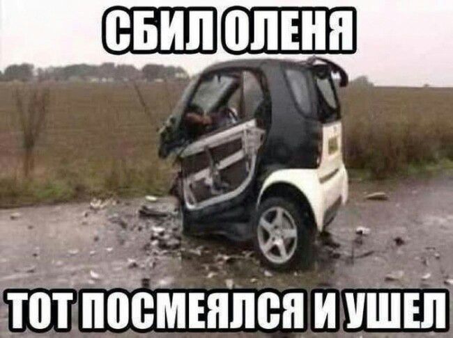 __ гдЯдё ТВТ ППВМЕНЛВЯ И УШЕЛ