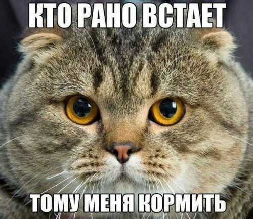 стин Х нтотднііъ