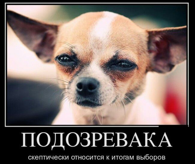 ПОДОЗРЕВАКА СКЕПТИЧЭСКИ ОТНОСИТСЯ К ИТОГЗМ ВЫбОрОВ