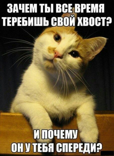 ЗАЧЕМ ТЫ ВВЕпВРЕМП ТЕРЕБЙШЬ ВВПЙ КВМ ТЕБЯ ВПЕРЕДЙ