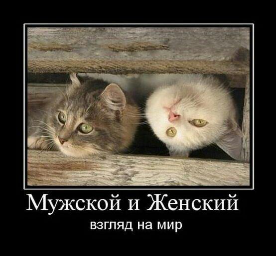 Мужской и Женский ВЗГЛЯД на мир