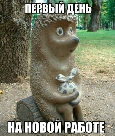 Бот о в А и