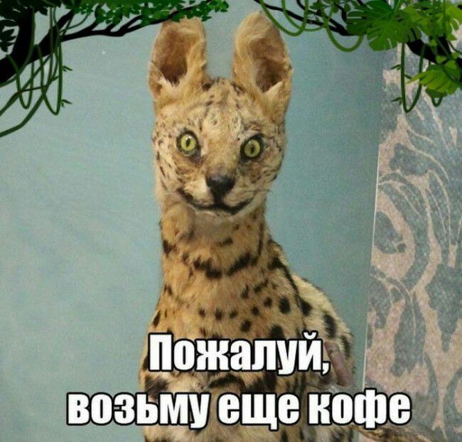 вазами ещеднмше