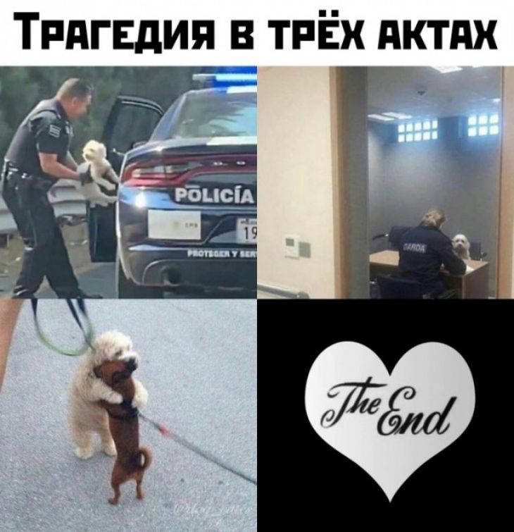 ТпдгЕдия в ТРЁХ дктдх