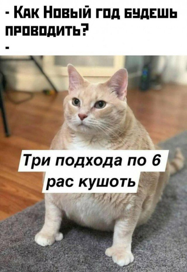 Кпк Нпвый гпд нндвшь пппвпдить