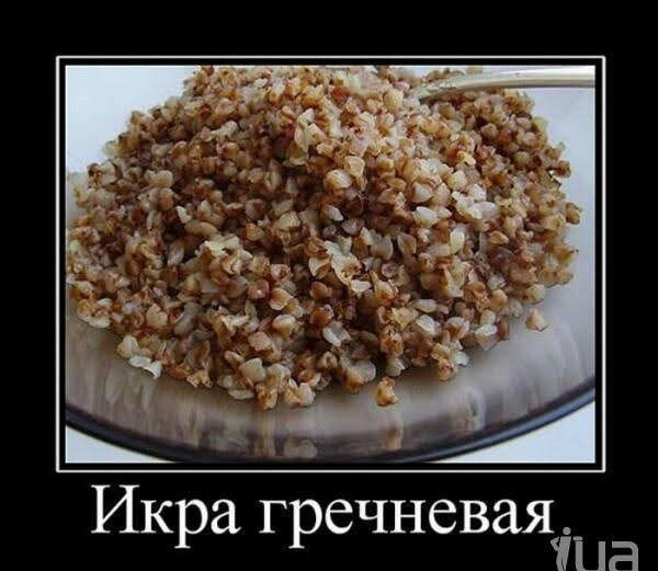Ик г ечнева р р ша