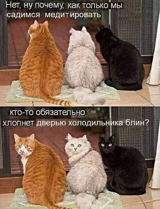 Нет ну почему как толькомы садимся медитировать и КТО ТО ОбЯЗЗТеПЬНО ЪХПОПНе Г дверью ХОПОДИПЬН Гка бгіин