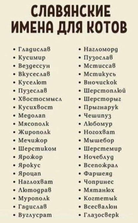 СЛПВЯНСНИЕ ИМЕНд дЛЯ КОТОВ Гпеисдав Нагдоморя Кусимпр Пузосмав Везоессуп Мстпссан ВКусссАиВ МстпКусь Куседіош Виочпсіюк Пузесдав Шерстопдіой ХВостосмысА Шерстпрыг КусихВост Прыгппрук Мецомп Чешцпуз МясопоАК Мобомур Жирона НогохВат МечиЖор Мышь бор Шерстпіюм Шерстсмпр ЯроЖор Ночебдуч Яройус ВсепойраА Ярош Фаршсяя НагдохВаш Чппрпмес Мотоарвв Мятаніох Мурано Когтетык Гаецсдпв ВсссВаМом Вумусрат Гдазо