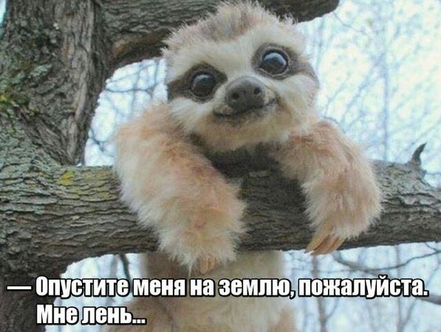 А опустите МЕНЯ на ЗЕМЛЮ ПВЖЯПУЙБТЯ