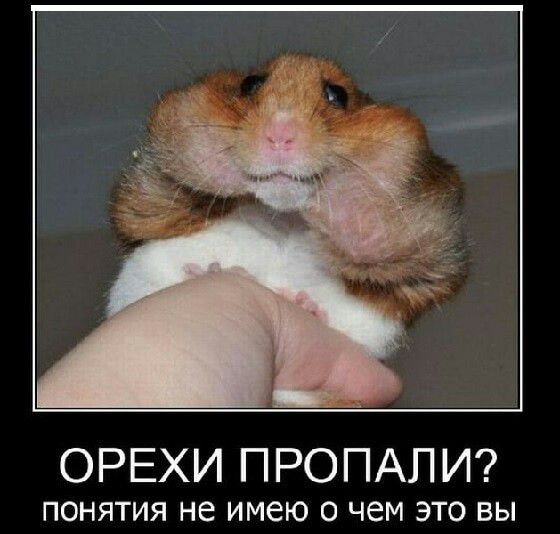 ОРЕХИ ПРОПАП И ПОНЯТИЯ не имею 0 чем ЭТО ВЫ