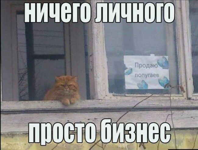 Е пйшощбимзнерд