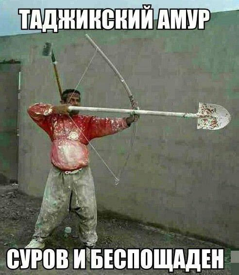 ТідДЖИНЁНИЙдМУР в _ ж 1 ЩЁЁПВ ИЁЗБЕВПВЩАДЕН