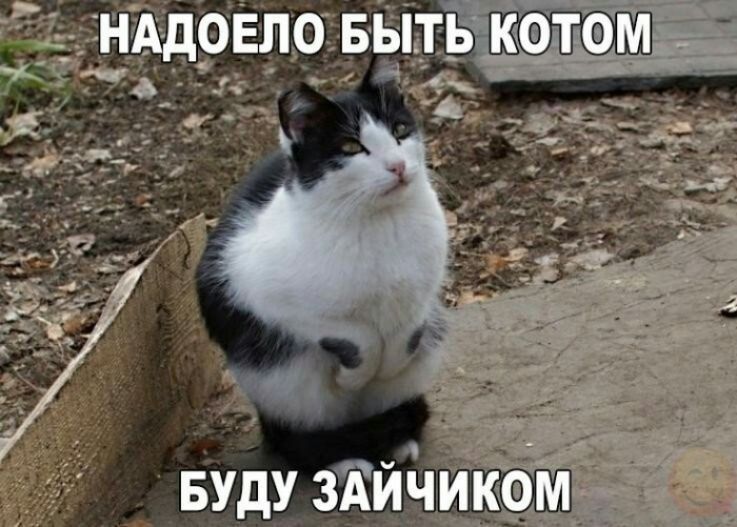 БУдУ 3Ай КФМ ч