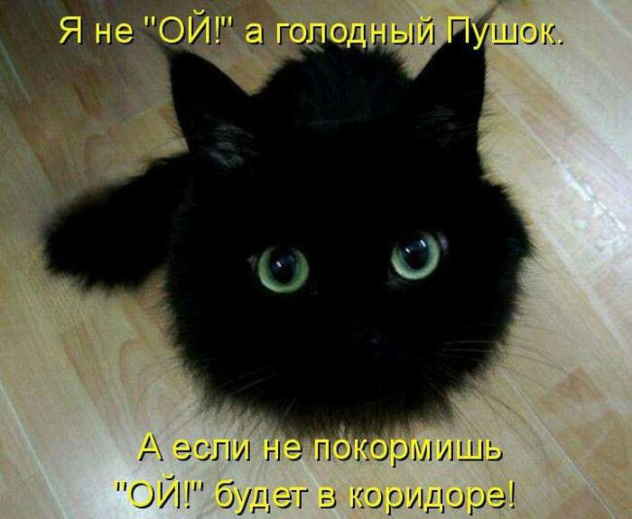 А если не гоябрмишь ОИ будг гг в коридоре