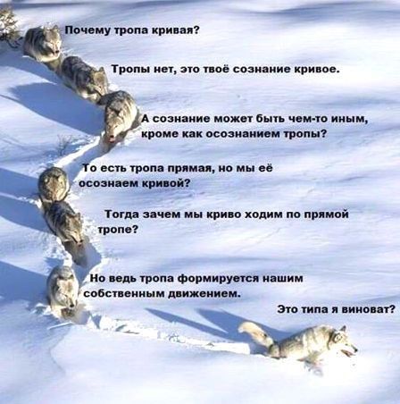 ну шоп ции яп Типы пп 2 пой сми ии ции ов сом ии но Бнп и ними кими инк ммм птиц с ки мм тц но мы вв шви тым и или кри п ход по приві тым по идиом сон пя шим тетким ишо этом и миди