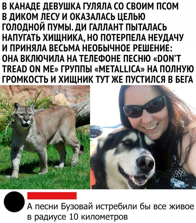 В КАНАДЕ ДЕВУШКА ГУЛЯЛА СО СВОИМ ПСОМ В ДИКОМ ПЕСУ И ОКАЗАЛАСЬ ЦЕЛЬЮ ГОЛОДНОИ ПУМЫДИ ГАЛЛАНТ ПЫТАЛАСЬ НАПУГАТЬ ХИЩНИКА НО ПОТЕРПЕЛА НЕУДАЧУ И ПРИНЯЛА ВЕСЬМА НЕОБЫЧНОЕ РЕШЕНИЕ ОНА ВКЛЮЧИЛА НА ТЕЛЕФОНЕ ПЕСНЮ ООМТ ТКЕАВ ОМ МЕ ГРУППЫ МЕТАЦСА НА ПОЛНУЮ ГРОМКОСТЬ И ХИЩНИК ТУТЖЕ ПУСТИЛСЯ В БЕГА А песни Бузовай исгребили бы все живое в радиусе 10 километров