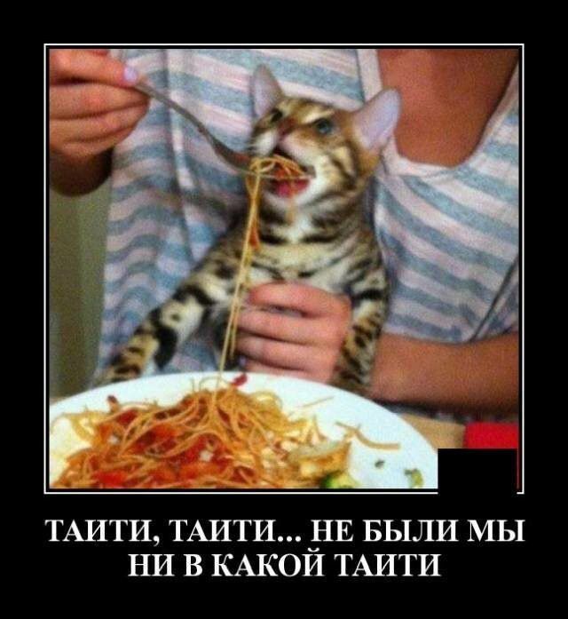 ТАИТИ ТАИТИ 3 1Е БЫЛИ МЫ НИ В КАКОИ ТАИТИ