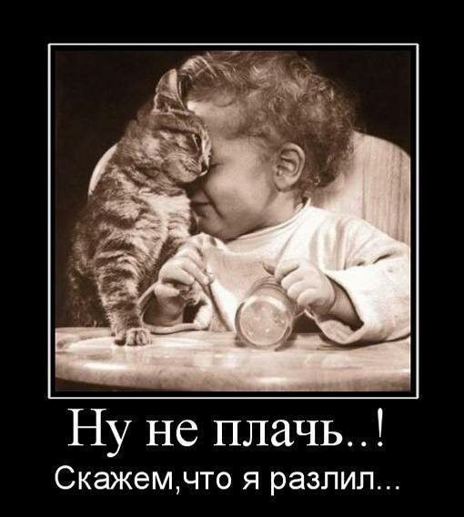 Ну не плачь СКЭЖЭМНТО Я РЭЗЛИЛ