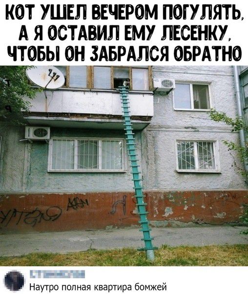 КОТ УШЕЛ ВЕЧЕРОМ ПОГУЛЯТЬ А Я ОСТАПИЛ ЕМУ ПЕСЕНКУ ЧТОБЫ ОН ЗАБРАПСЯ ОБРАТНО г Наутро полная квартира бомжей
