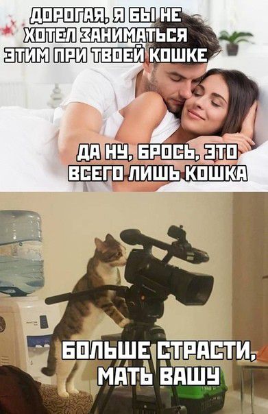 ШТТПйЕп