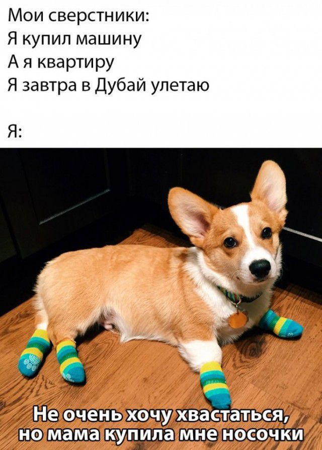 Мои сверстники Я купил машину А я квартиру Я завтра в Дубаи улетаю Я Жэ очень ухвастатьс я щ носочки