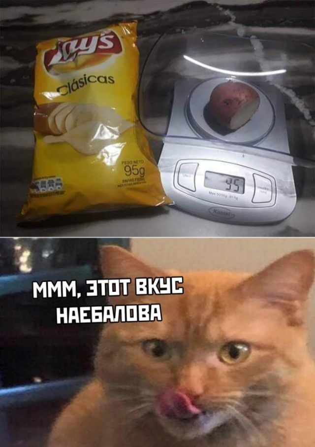въ рп ммм зтпт вкнг ндввдппвнё