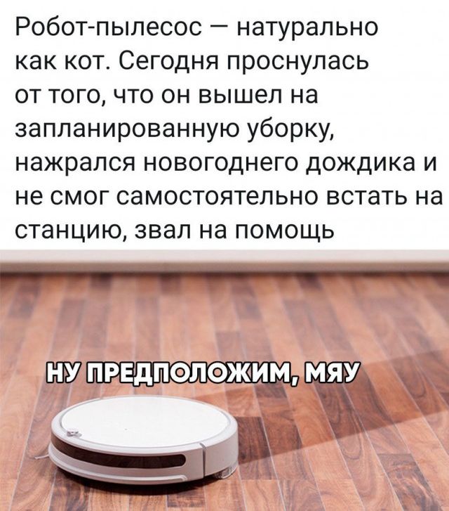 Робот пылесос натурально как кот Сегодня проснулась от того что он вышел на запланированную уборку нажрался новогоднего дождика и не смог самостоятельно встать на станцию звал на помощь _
