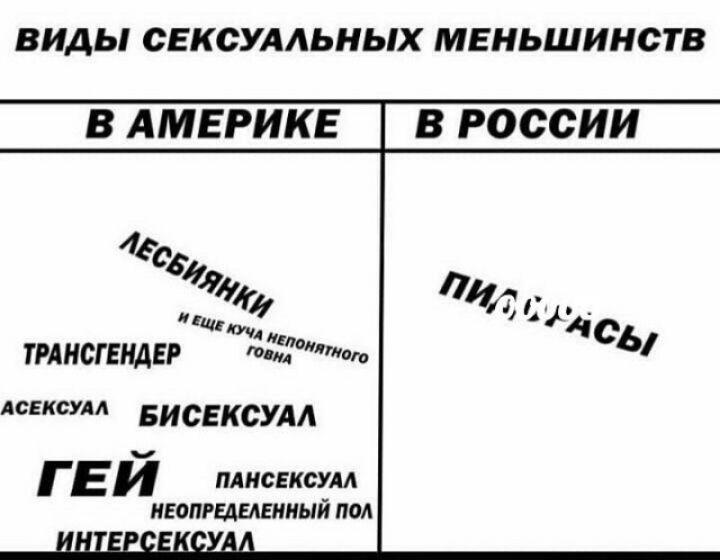 ВИДЫ СЕКСУАЛЬНЬЛХ МЕНЬШИНСТВ В АМЕРИКЕ В РОССИИ лит ТРАНСГЕНАЕР ни того АСЕКСУАА Бисвксудл ГЕЙ плнсвксум НЕОЛРЫЕАЕИИЫЙ ПОА