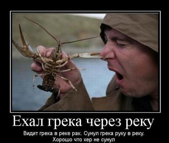 Ехал грека через реку Видит грека в реке рак нул грека руку в реку Хорошо что хер не сунул