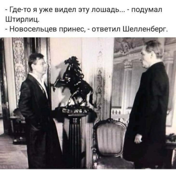 Где то я уже видел эту лошадь подумал Штирлиц Новосельцев принес ответил Шелленберг