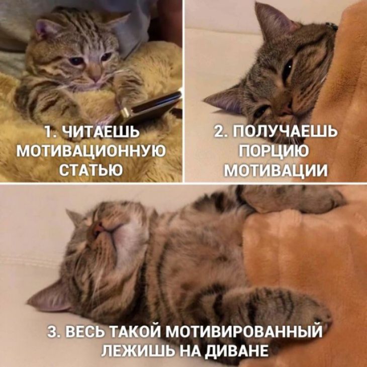 я 1 1_чит_дЕшь мотивЖционнупр стдтью