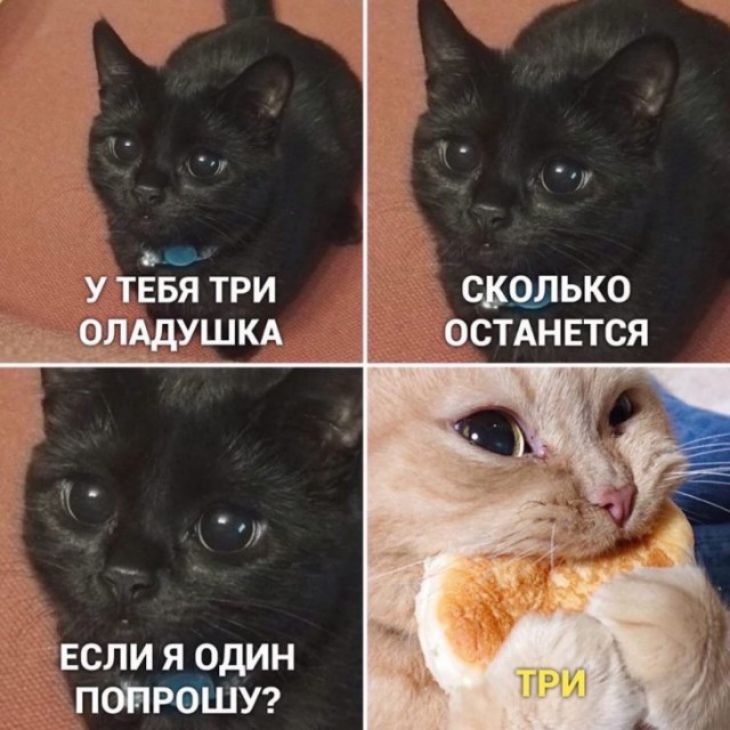 чм у тввя три ришушкд СБЧЛЬКО ОСТАНЕТСЯ если я один попрошуг