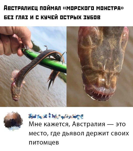 АЕЕТРМИЕЦ ППЙММ МПРБКПГП МПНПТРП БЕЗ ПШ И КНЧЕЙ ППТРЫХ ЗНЕПВ жаждет мт Мне кажется Австралия это место где дья вол держит своих питомцев