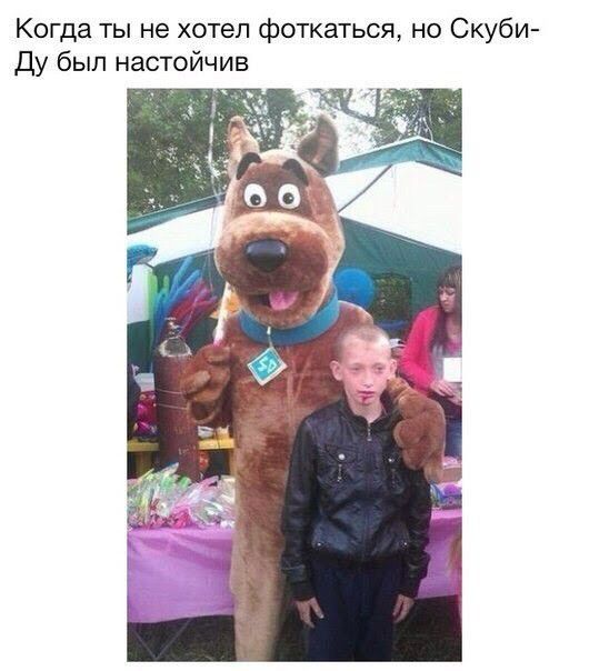 Когда ты не хотел фоткаться но Скуби Ду бып настойчив
