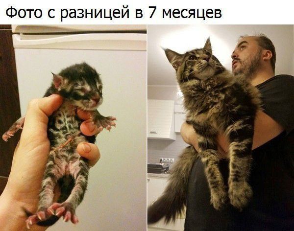 Фото с разницей в 7 месяцев