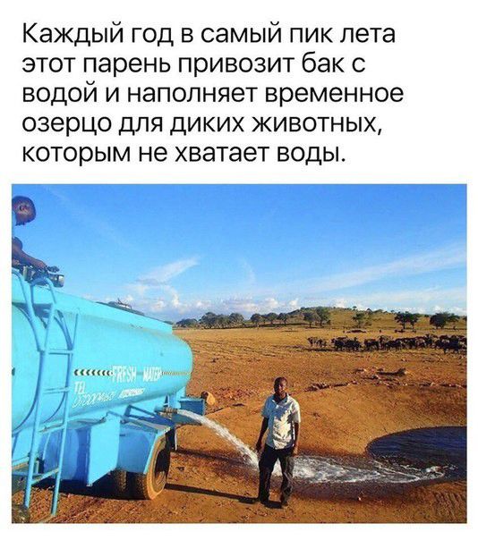 Каждый год в самый пик лета этот парень привозит бак водой и наполняет временное озерцо для диких животных которым не хватает воды т
