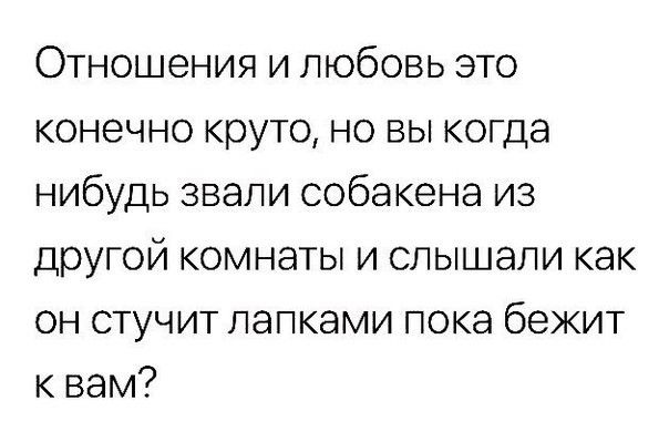 Отношения и любовь это конечно круто но вы когда нибудь звали собакена из другой комнаты и слышали как он стучит папками пока бежит к вам