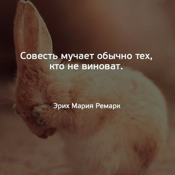 Совесть мучает обычно тех кто не виноват Эрих Мария Ремарк