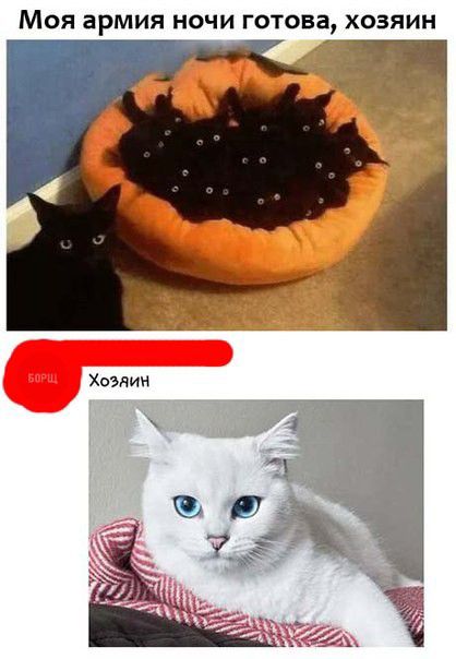 МОЯ арМИЯ НОЧИ ГОТОВЗ ХОЗЯИН
