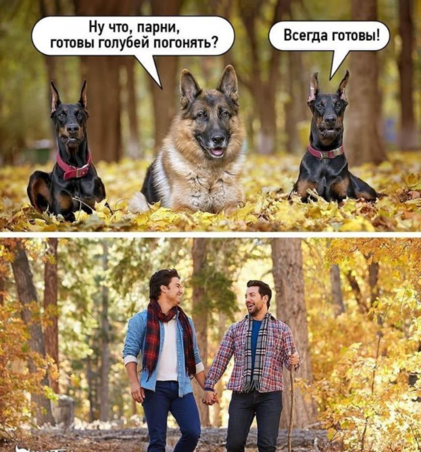 Всегда готовы 7 Ну что парни готовы голубей погонять