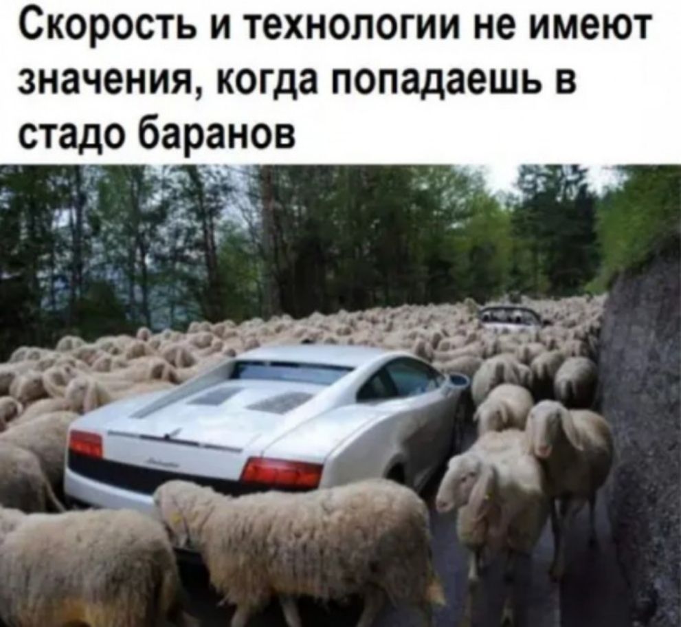 Скорость и технологии не имеют значения когда попадаешь в стадо баранов Я _ _ _ _ч