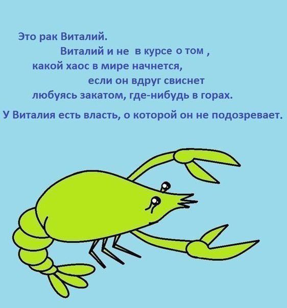 Это рак Виталий Виталий и не в курсе о том какой хаос в мире начнется если он вдруг свисиет любуясь закатом гделнибудь в горах У Виталия есть власть о которой он не подозревает