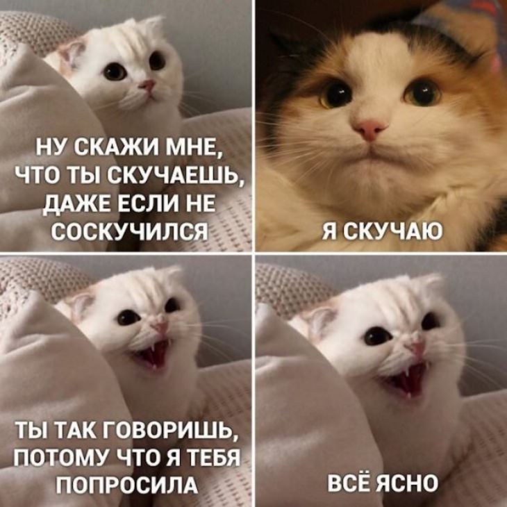 Р ну смжи мне СТо ты СКУЧАЕШЬ __дАжв если не соскучилс_ _ я скучдю ТЫ ТАК ГОВОРИШЬ ОМУ ЧТО Я ТЕБ ЩОПРОСИЛА ВСЁ ЯСНО