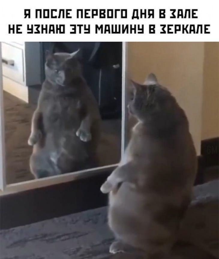 Я ППЕЛЕ ПЕРВПГП ЛНП В ЗдЛЕ НЕ НЗНПШ ЗТН МдШИНН В ЗЕРКПЛЕ